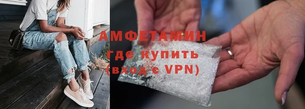 СК Алексин