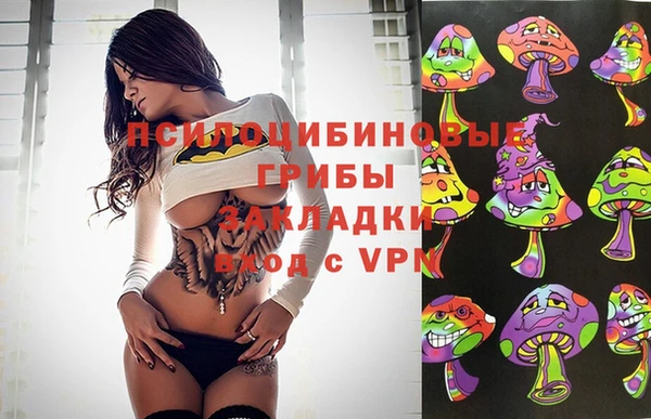 СК Алексин