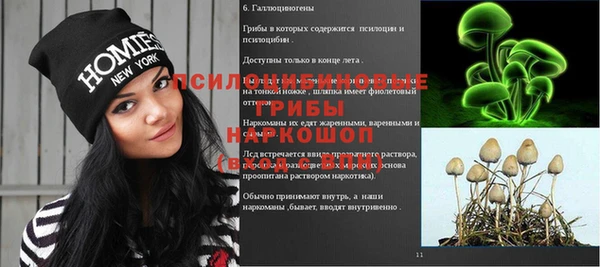 СК Алексин