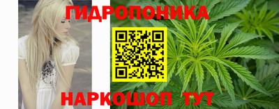 дмт Аша