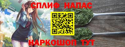 дмт Аша