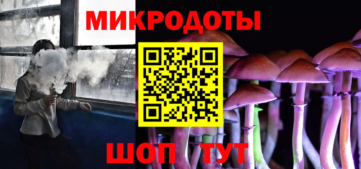 Псилоцибиновые грибы Psilocybine cubensis Белебей